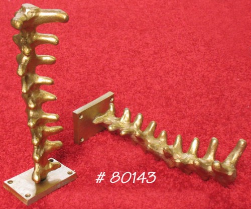 Spine Shape Hanging Hook