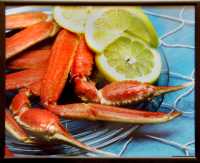 food photo
