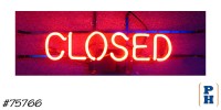 Neon Sign