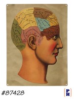 Phrenology Sign