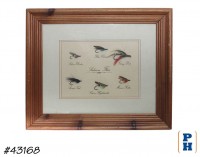 Framed Collection