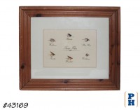 Framed Collection