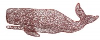 Wire Whale