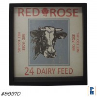 Framed Print