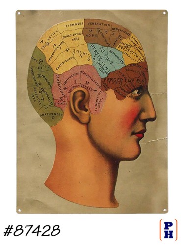 Phrenology Sign