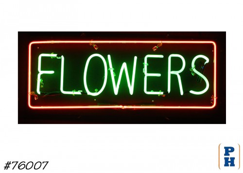 Neon Sign