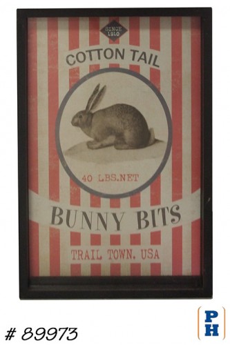 Framed Print