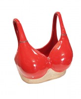 Bikini Top Planter