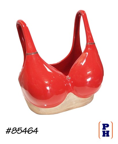Bikini Top Planter