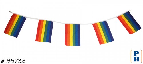 Pennant Flags
