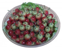 fruit bowl
