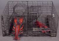Lobster Trap