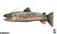 Fish Decor
