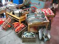 05 overview of fish market items