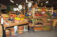 04 overview of farmer`s market & grocery store items