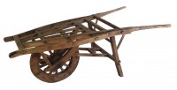 Push Cart