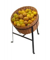 Wicker Basket & Stand