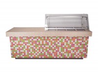Yogurt, Ice Cream & Juice Bar Counter