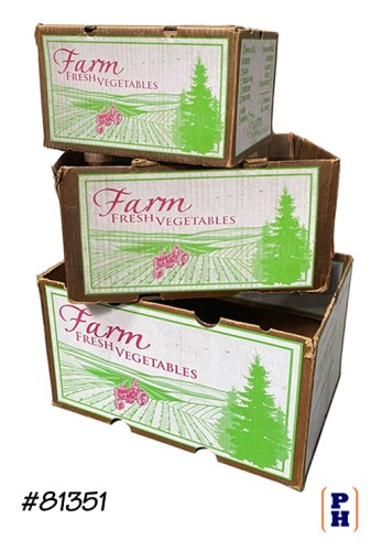 Produce Box
