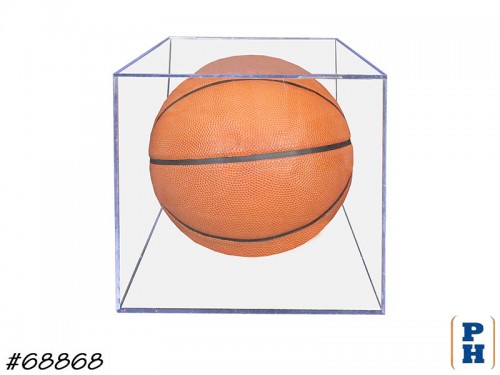 Basketball in Case
