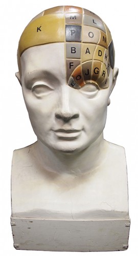 Oversize Phrenology Head