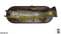 Taxidermy Fish