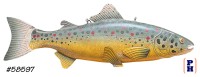 Fish Wall Decor