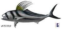Taxidermy Fish