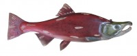 Fish Wall Decor