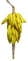 Fake Food