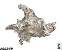 Seashell