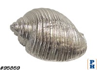 Seashell