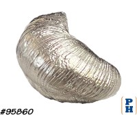 Seashell