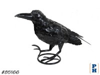 Crow