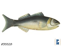 Fish Wall Decor