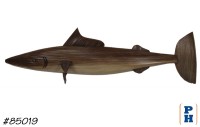 Fish Wall Decor