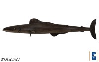 Fish Wall Decor