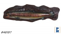 Taxidermy Fish
