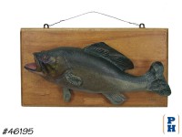 Taxidermy Fish