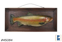 Taxidermy Fish