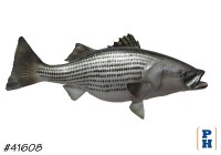 Taxidermy Fish