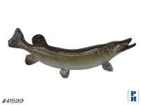 Taxidermy Fish
