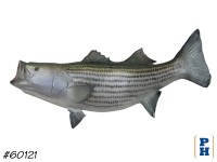 Taxidermy Fish