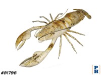 Metal Lobster