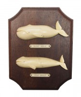 Plaque