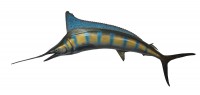 taxidermy fish