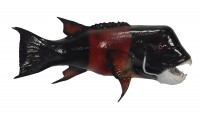 taxidermy fish