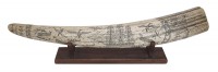 Scrimshaw Tusk