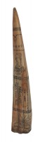 Scrimshaw Tusk