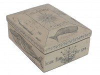 Scrimshaw Box